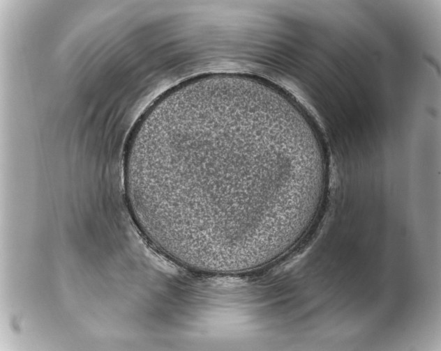 X0000102530837200808291818