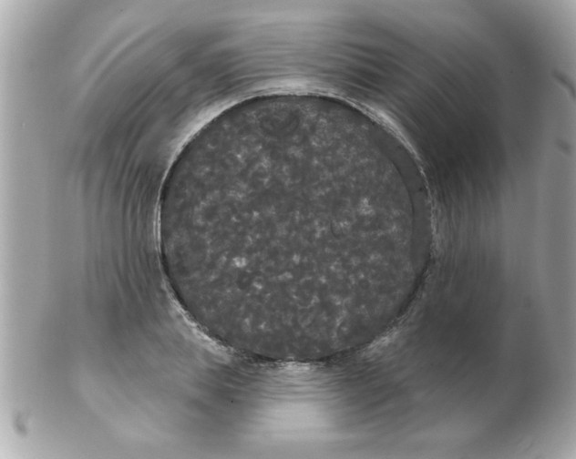 X0000102530839200808291818