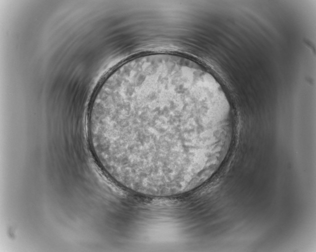 X0000102530840200808291818