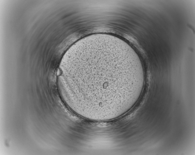 X0000102530841200808291818