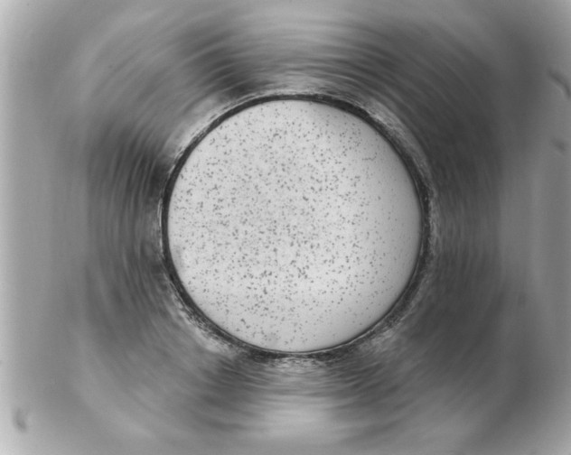 X0000102530842200808291818