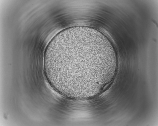 X0000102530844200808291818