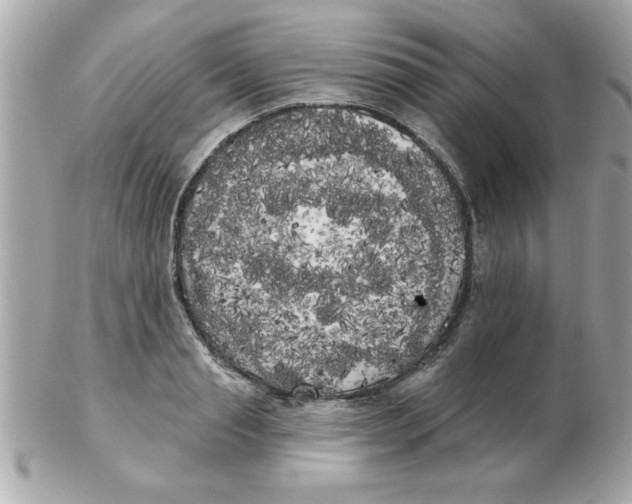 X0000102530845200808291818