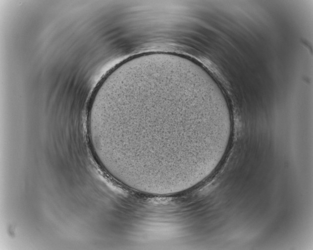 X0000102530846200808291818
