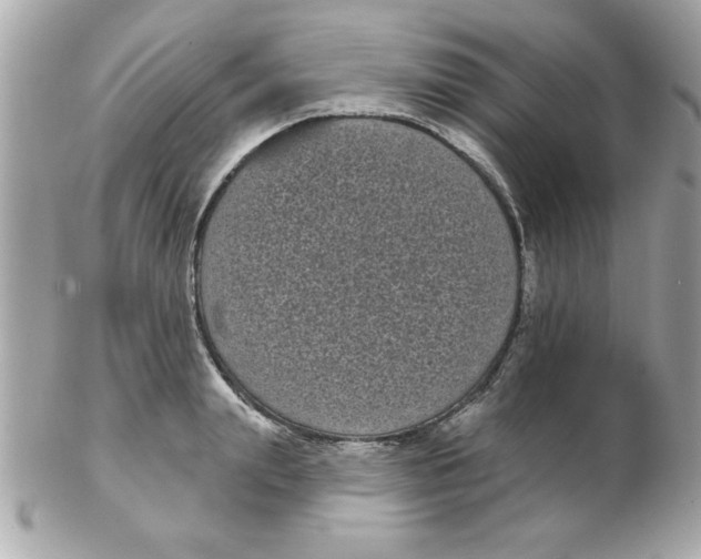 X0000102530847200808291818