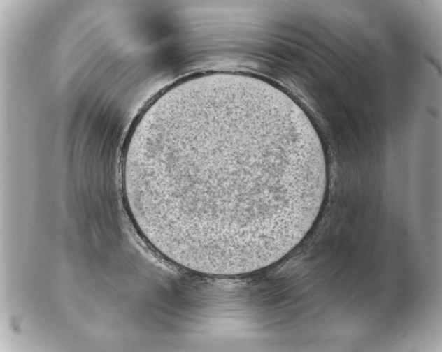 X0000102530848200808291818