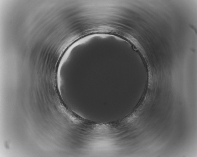 X0000102530850200808291818