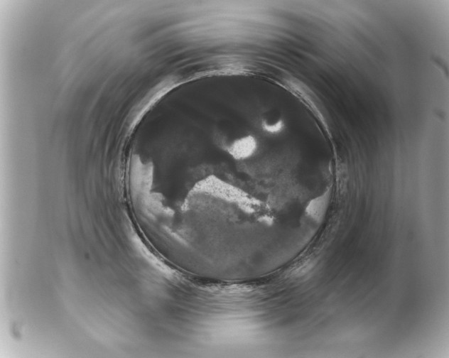 X0000102530851200808291818