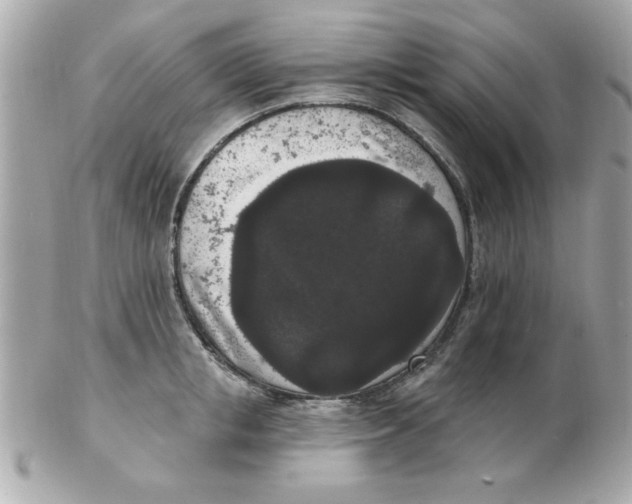 X0000102530853200808291818