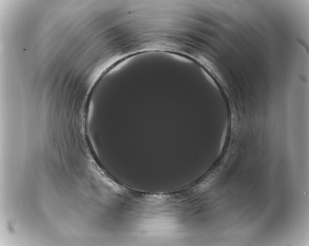 X0000102530854200808291818