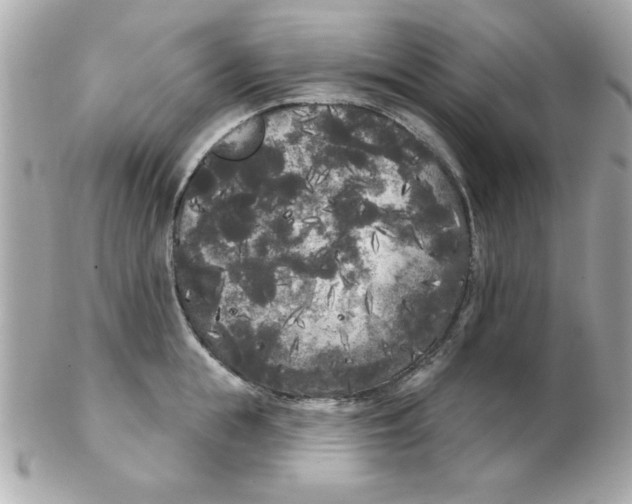 X0000102530855200808291818