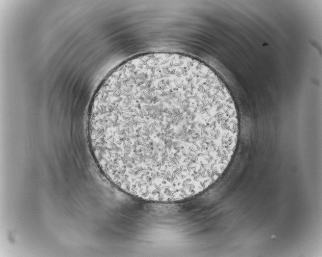 X0000102530856200808291818