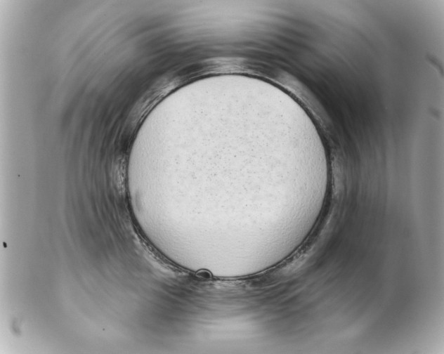 X0000102530857200808291818