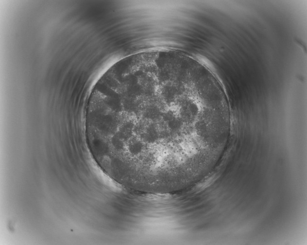 X0000102530859200808291818