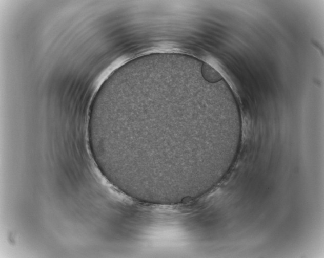 X0000102530861200808291818
