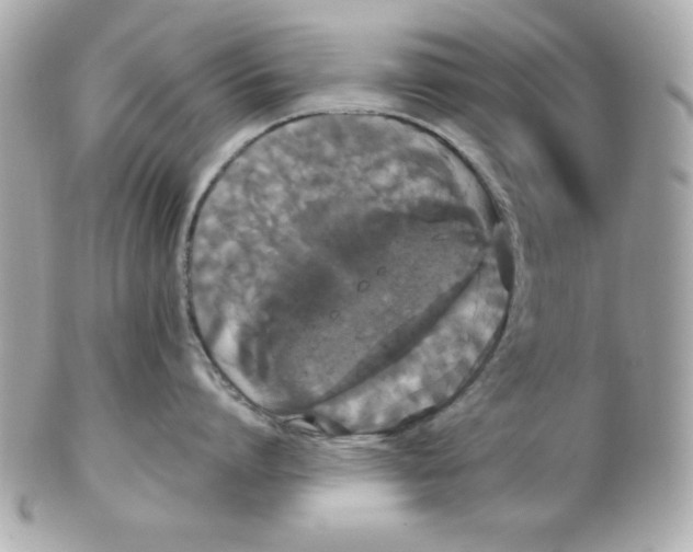 X0000102530864200808291818