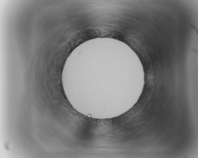 X0000102530865200808291818