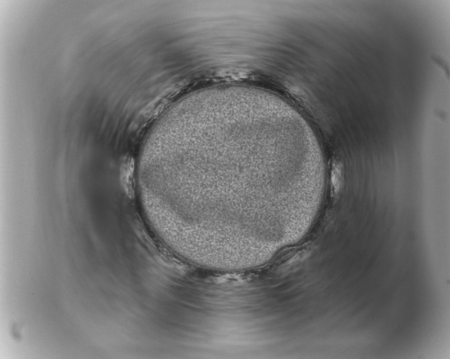 X0000102530867200808291818