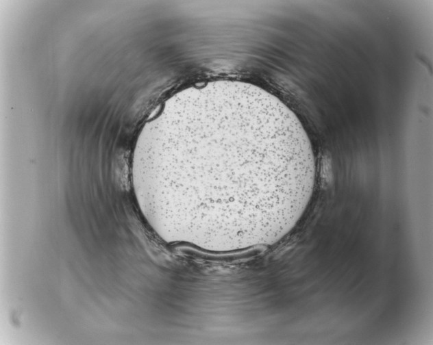 X0000102530868200808291818
