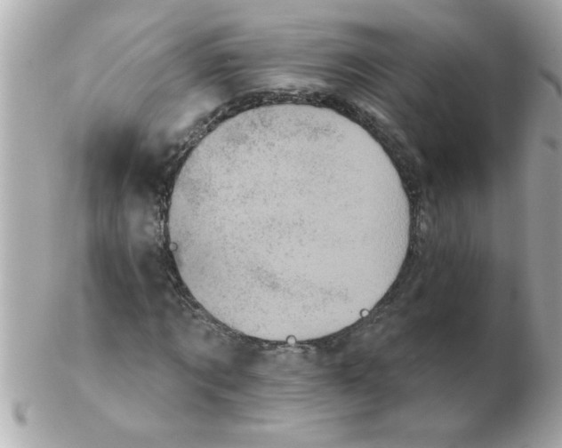 X0000102530869200808291818