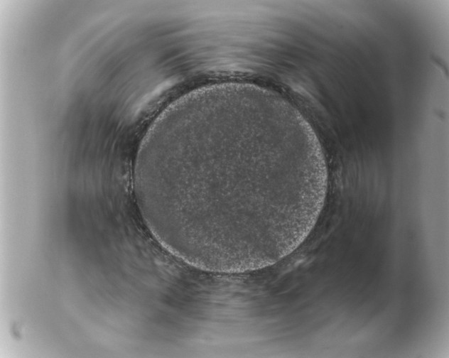 X0000102530870200808291818