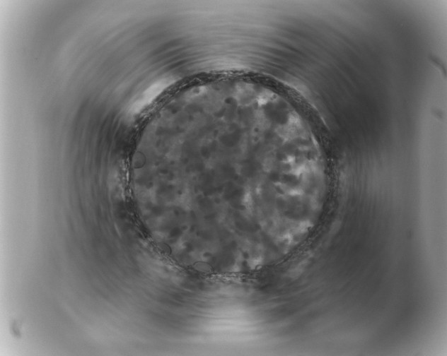 X0000102530871200808291818