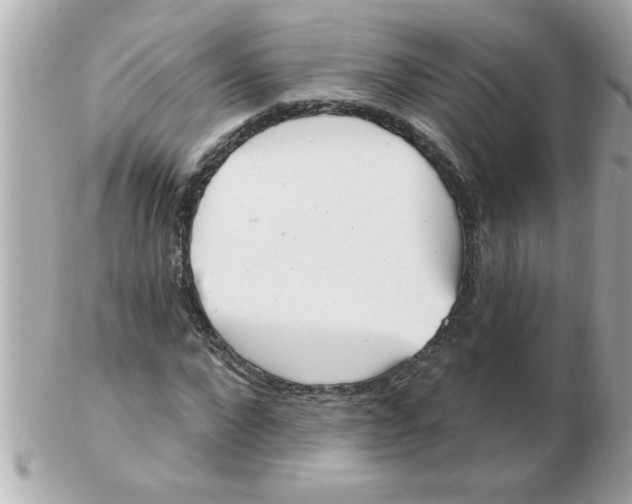 X0000102530872200808291818