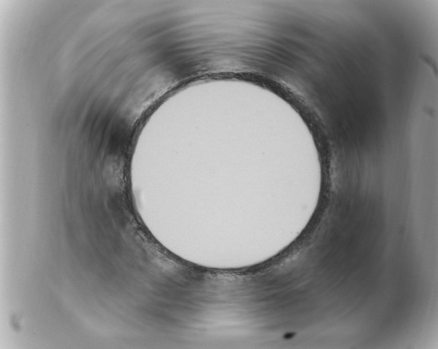 X0000102530873200808291818