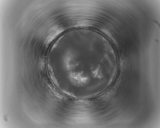 X0000102530874200808291818