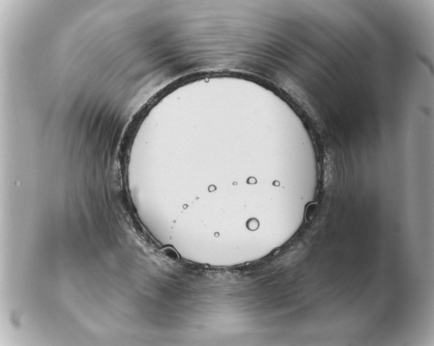 X0000102530876200808291817