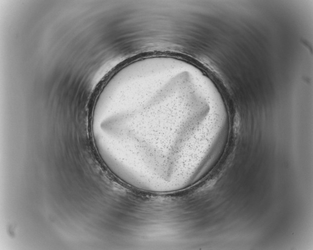 X0000102530877200808291817