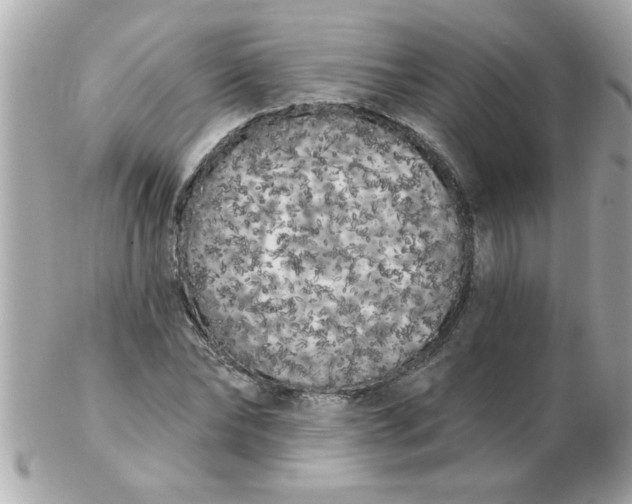 X0000102530878200808291817