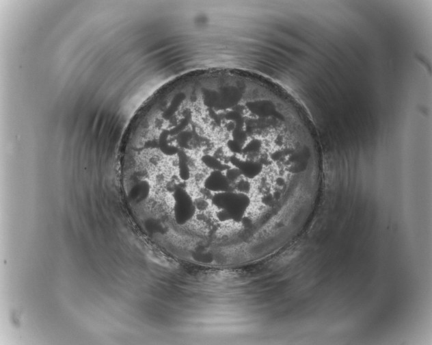 X0000102530879200808291817