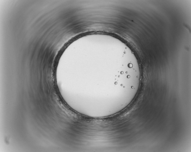 X0000102530880200808291817