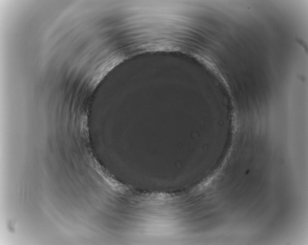 X0000102530881200808291817