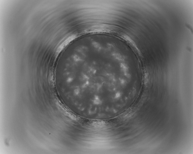 X0000102530882200808291817