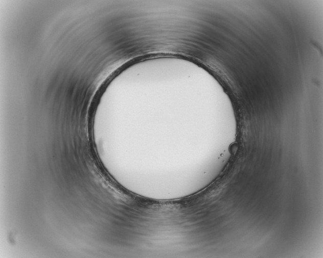 X0000102530884200808291817
