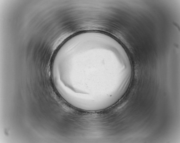 X0000102530885200808291817