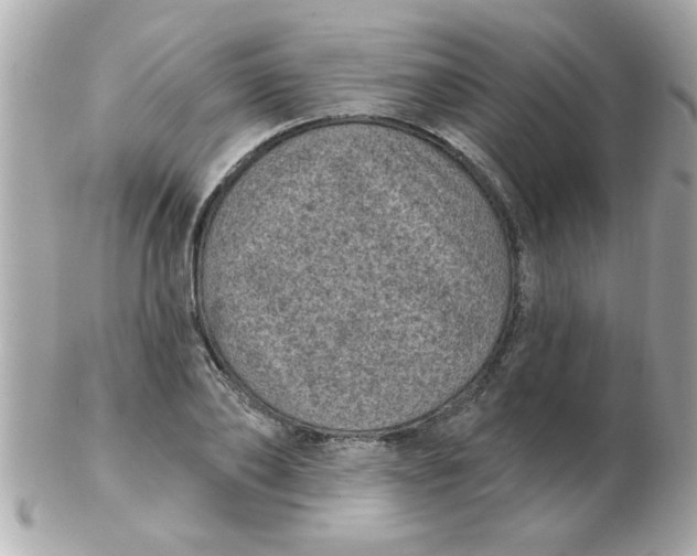 X0000102530886200808291817