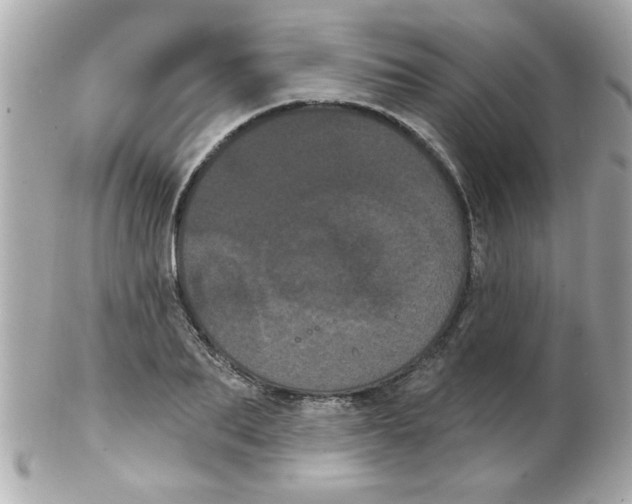 X0000102530887200808291817