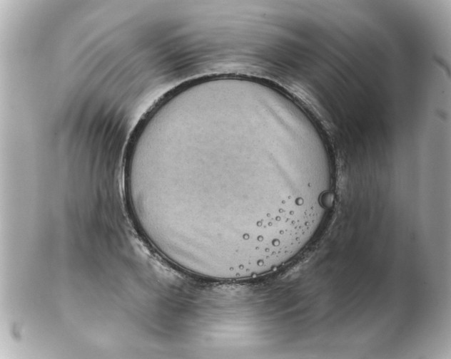 X0000102530888200808291817