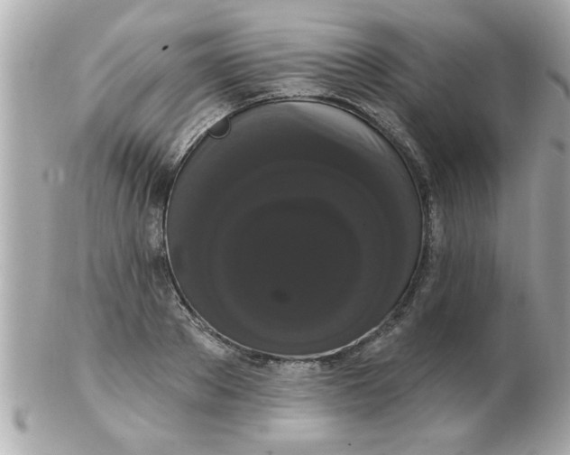 X0000102530889200808291817