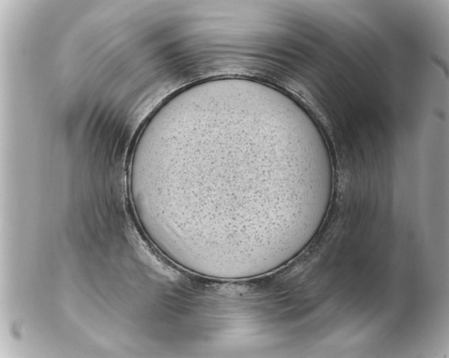 X0000102530890200808291817