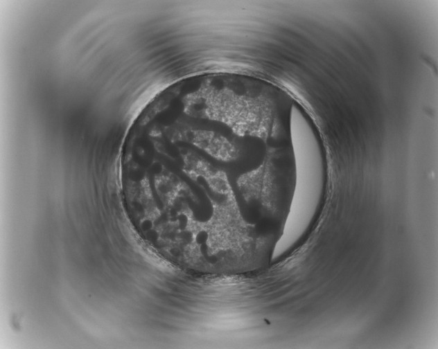 X0000102530891200808291817