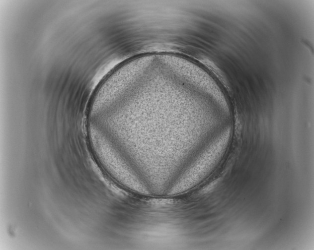 X0000102530893200808291817