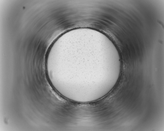X0000102530894200808291817