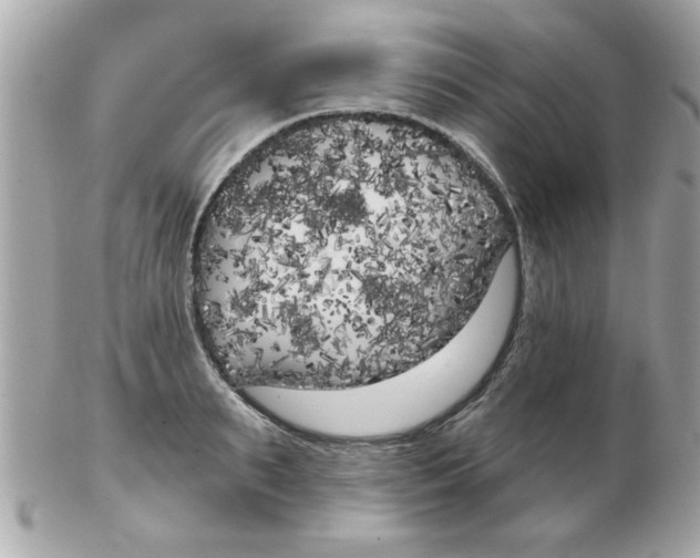 X0000102530895200808291817