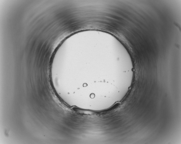 X0000102530896200808291817