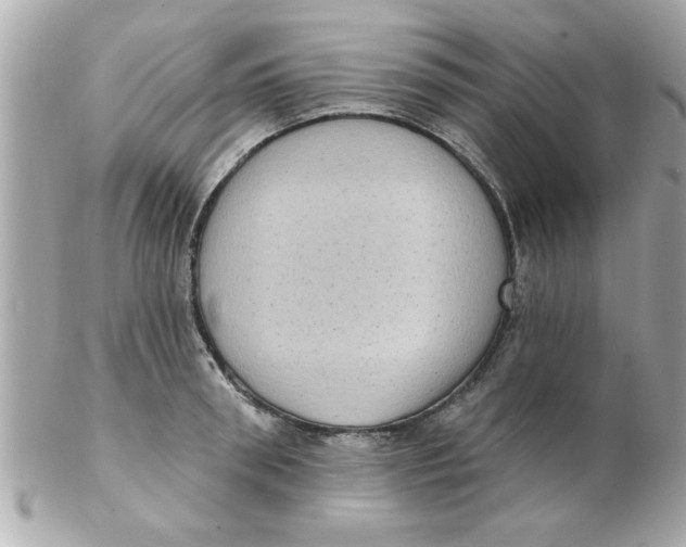 X0000102530898200808291817