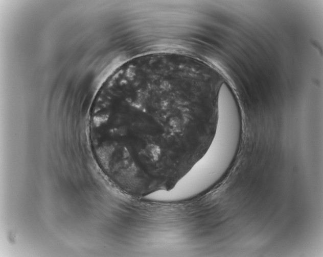X0000102530899200808291817